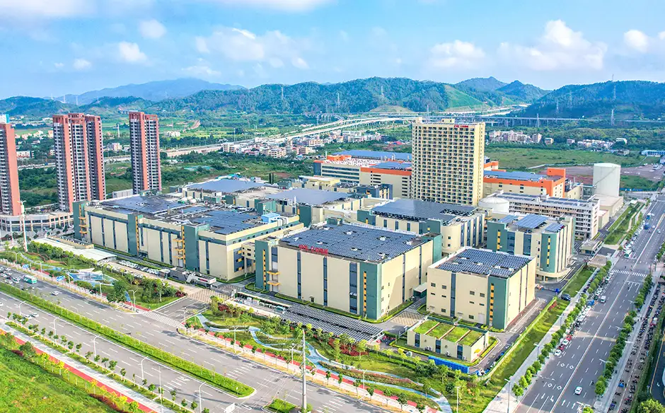 DM_20260113152324_008